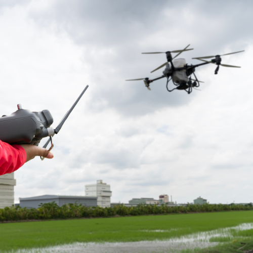 Innovación y Desarrollo Profesional